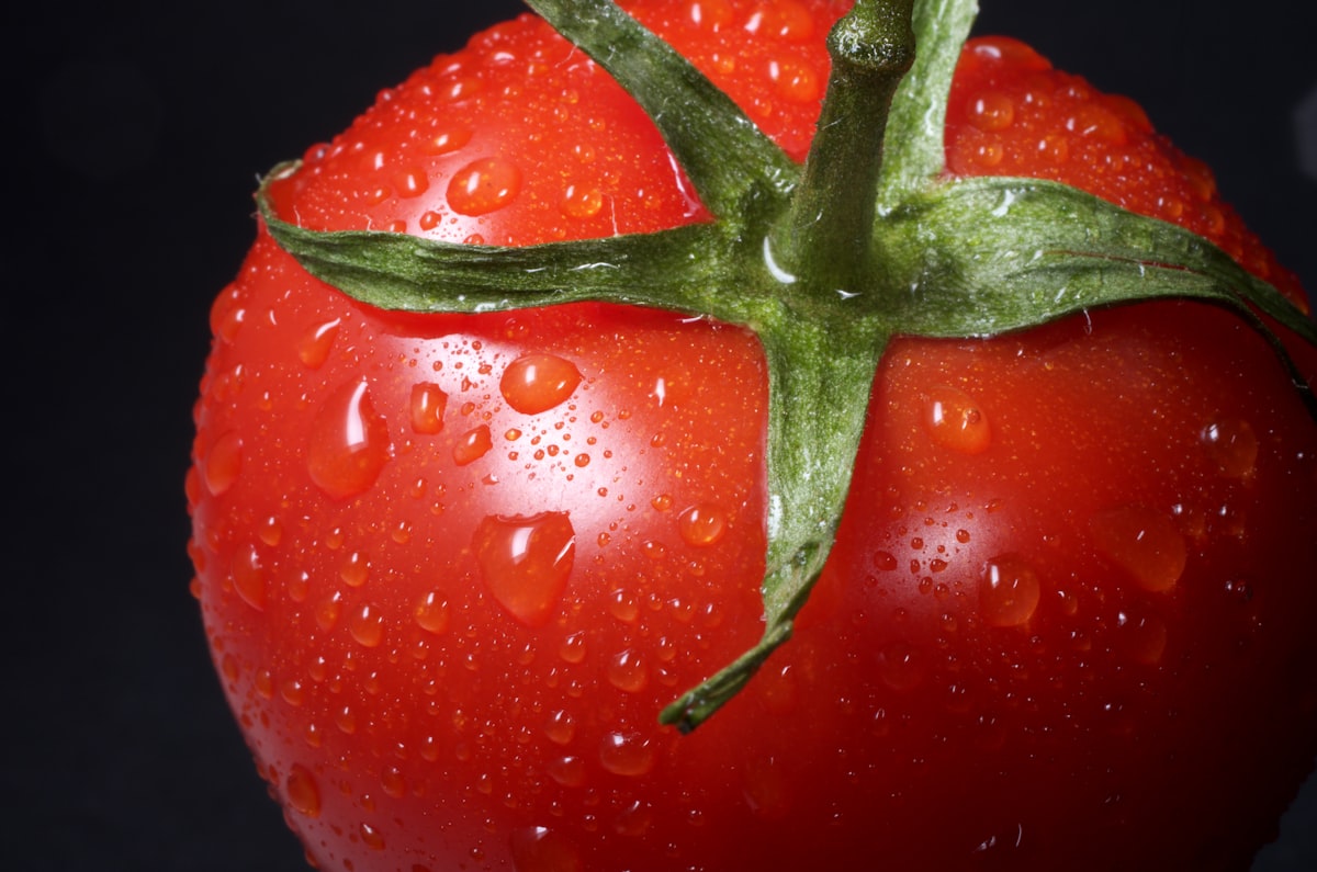 Artikel über Tomaten und Lykopin